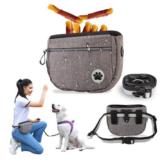 Dog Training Snack Bag for Outings and Walks